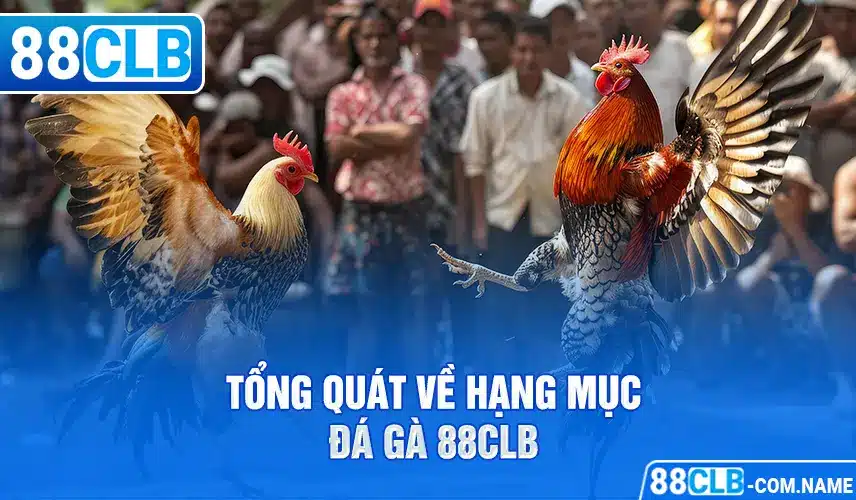 Tổng quát về hạng mục đá gà 88CLB