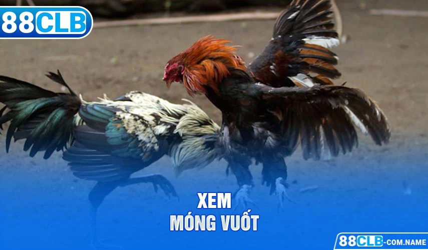 Xem móng vuốt