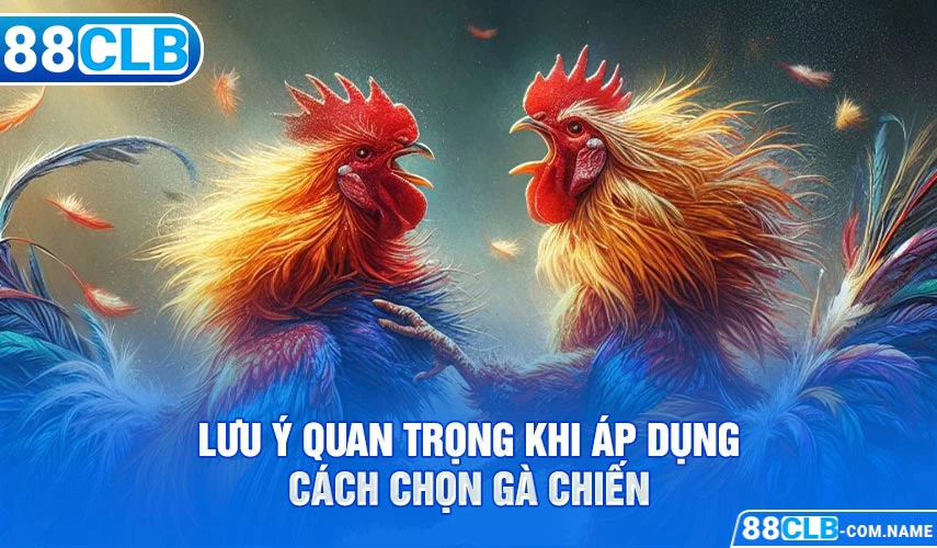 Lưu ý quan trọng khi áp dụng cách chọn gà Chiến