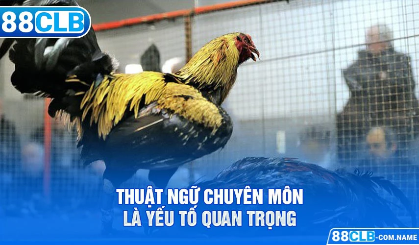 Thuật ngữ chuyên môn là yếu tố quan trọng