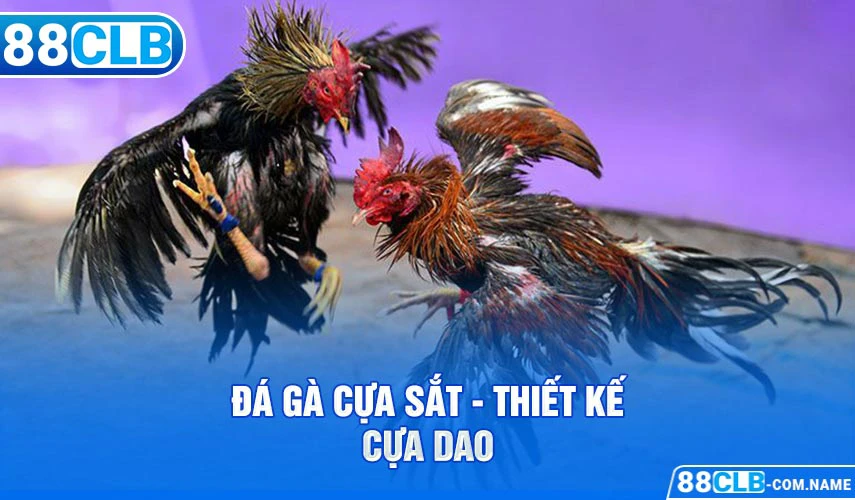 Đá gà cựa sắt - Thiết kế cựa dao