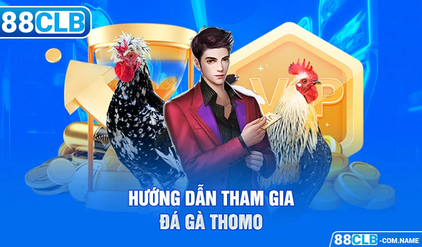 Hướng dẫn tham gia đá gà Thomo