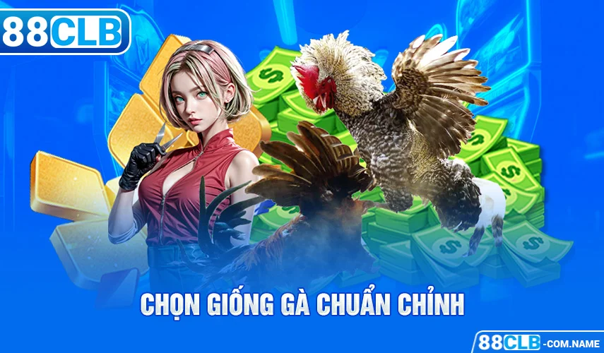 Tổng quan cách nuôi chiến kê