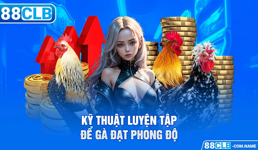 Kỹ thuật luyện tập để gà đạt phong độ